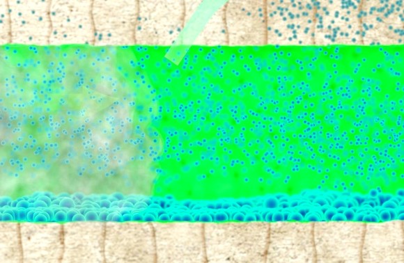 Reinigung & Regeneration DPF